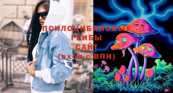 мескалин Сясьстрой