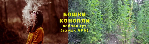не бодяженный Тавда