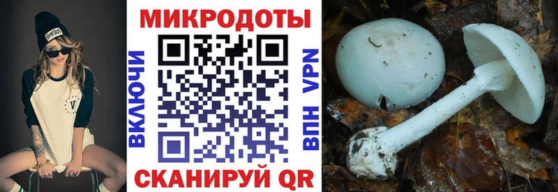где купить   мега зеркало  Галлюциногенные грибы Psilocybe  даркнет клад  Усть-Кут 