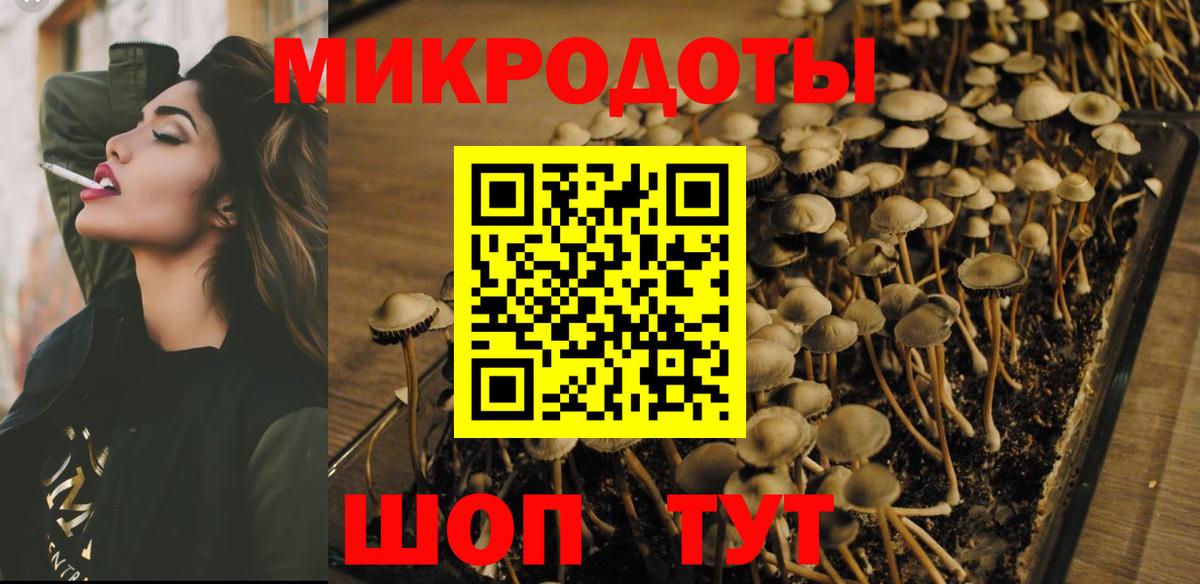 Галлюциногенные грибы прущие грибы Усть-Кут